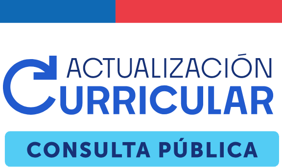 Consulta Pública
